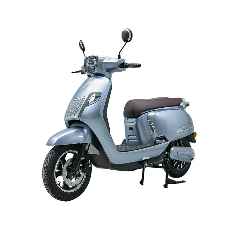 بالغوں کے لئے الیکٹرک موٹرسائیکل 10 انچ 800W موٹرسائیکل