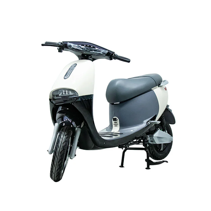 10 انچ 1000W موٹرسائیکل کے ساتھ الیکٹرک موٹرسائیکل